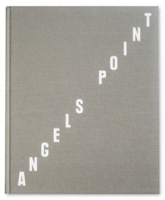 Book cover of: Angel's Point. By: Adam Ianniello