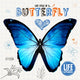Book cover of: Butterfly. By: Grace Jones