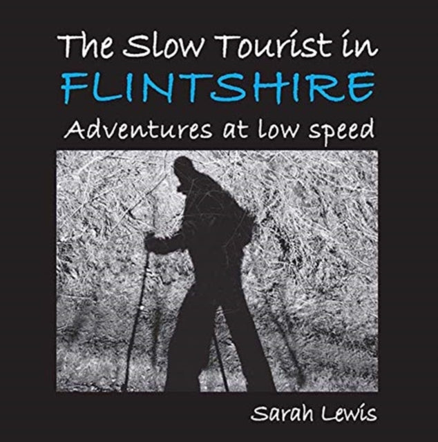 Book cover of: Slow Tourist in Flintshir