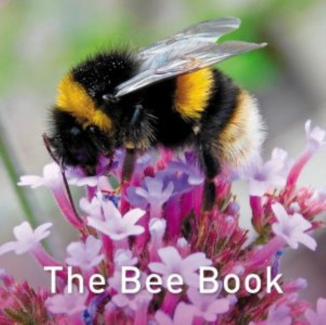 Book cover of: Nature Book Series: The Bee Book. By: Jo Byrne