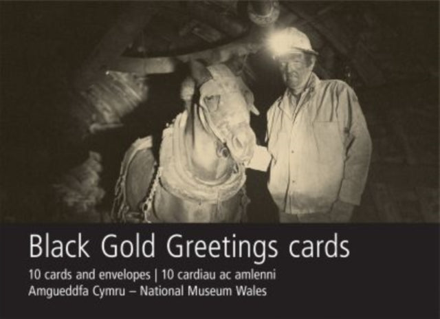 Book cover of: Black Gold Pit Pony and Ostler Card Pack