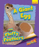 Book cover of: Whose Little Baby Are You? A Giant Egg and Fluffy Feathers