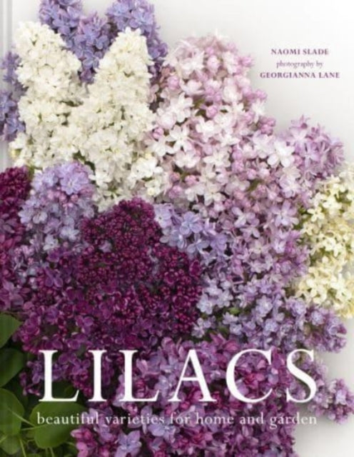 Book cover of: Lilacs. By: Georgianna Lane