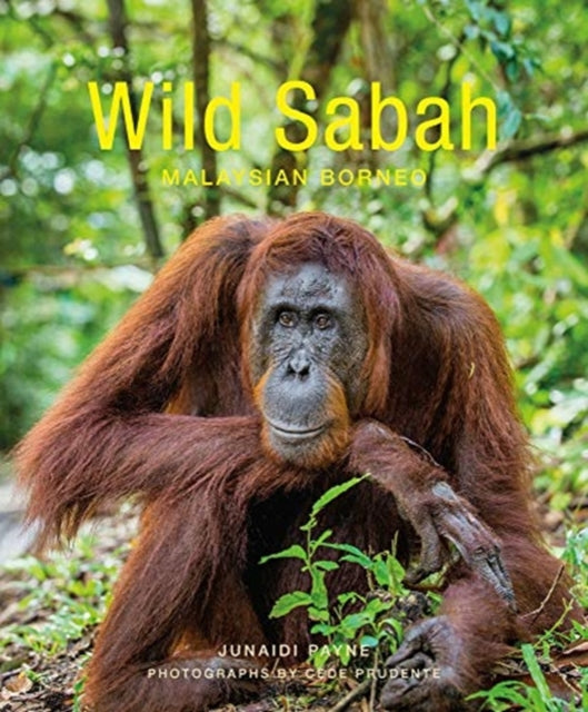 Book cover of: Wild Sabah (2nd edition). By: Junaidi Payne