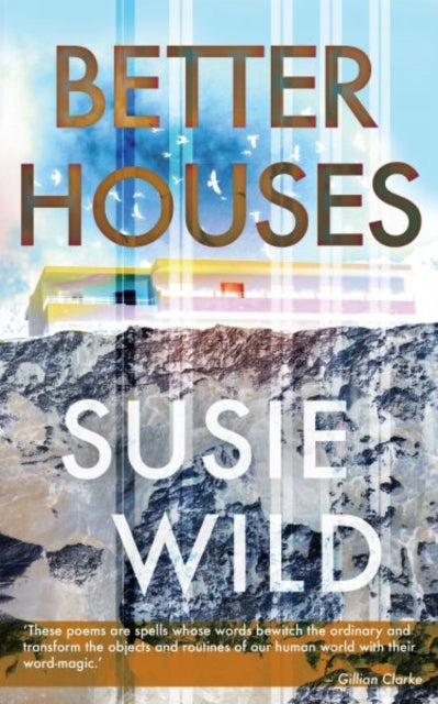 Book cover of: Better Houses. By: Susie Wild