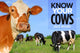 Book cover of: Know Your Cows. By: Jack Byard