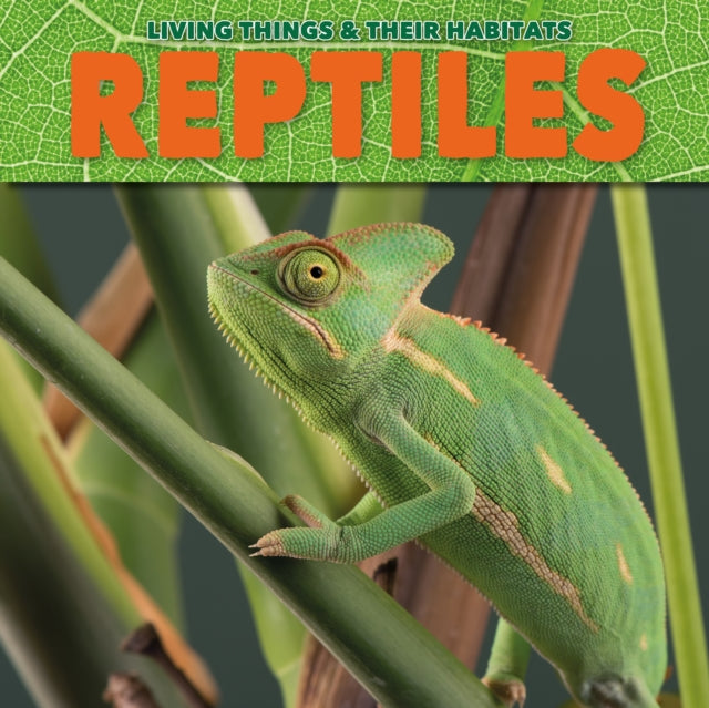 Book cover of: Reptiles. By: Grace Jones