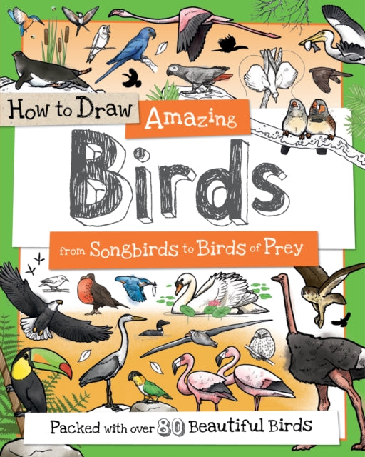 Book cover of: How To Draw Amazing Birds
