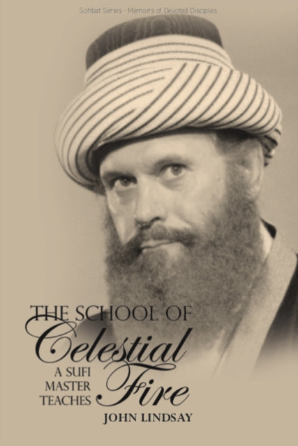 Book cover of: School of Celestial Fire