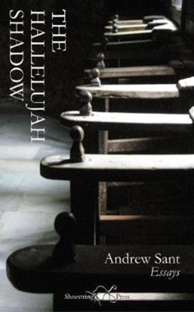 Book cover of: Hallelujah Shadow. By: Myra Schneider