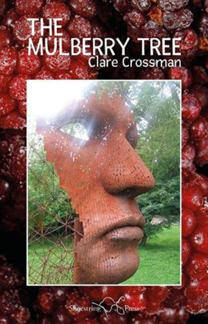 Book cover of: Mulberry Tree. By: Clare CROSSMAN