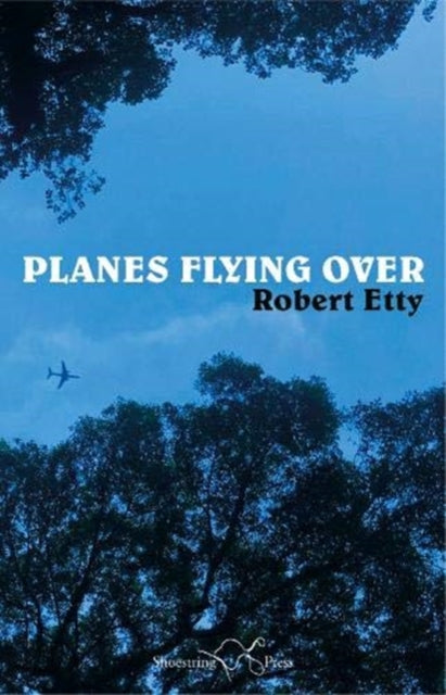 Book cover of: Planes Flying Over. By: Robert ETTY