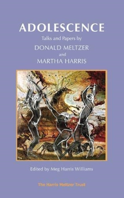 Book cover of: Adolescence. By: MELTZER ET AL