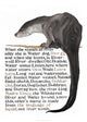 Book cover of: Jackie Morris Poster: Names of the Otter, The