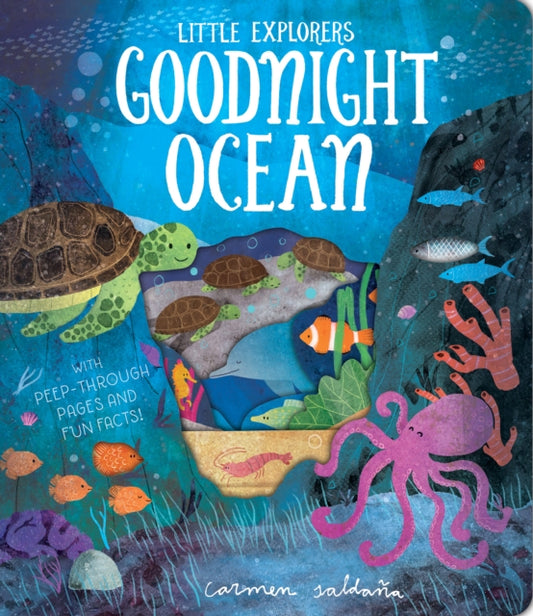 Book cover of: Goodnight Ocean. By: Becky Davies