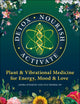 Book cover of: Detox - Nourish - Activate. By: Lulu Hetzer Shimek
