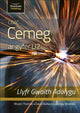 Book cover of: CBAC CEMEG U2 LLYFR GWAITH ADOLYGU (WJEC CHEMISTRY FOR A2 LEVEL – REVISION WORKBOOK). By: David Ballard