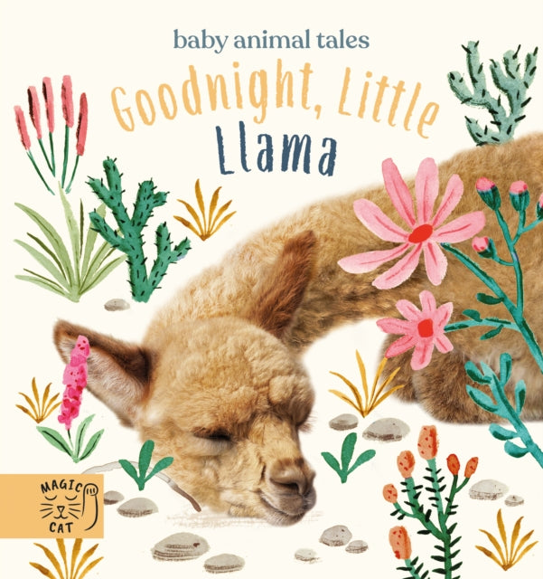 Book cover of: Goodnight, Little Llama. By: Amanda Wood