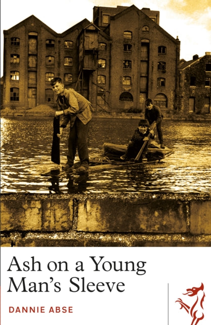 Book cover of: Ash on a Young Man's Sleeve. By: Dannie Abse