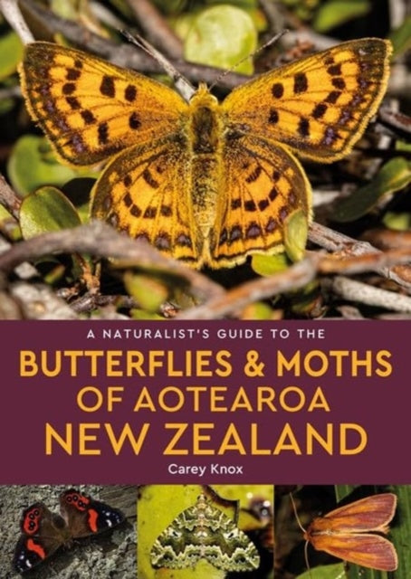 Book cover of: Naturalist's Guide to the Butterflies & Moths of Aotearoa New Zealand