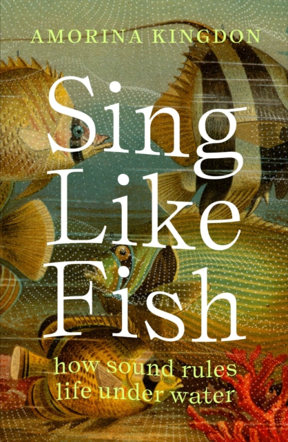 Sing Like Fish, how sound rules life under water 9781914484322 Amorina Kingdon