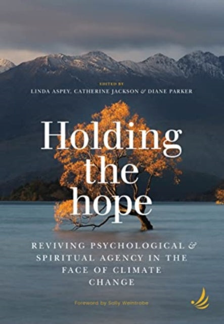 Book cover of: Holding the Hope. By: Linda Aspey