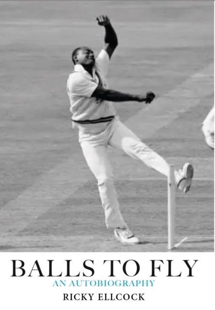 Book cover of: Balls to Fly