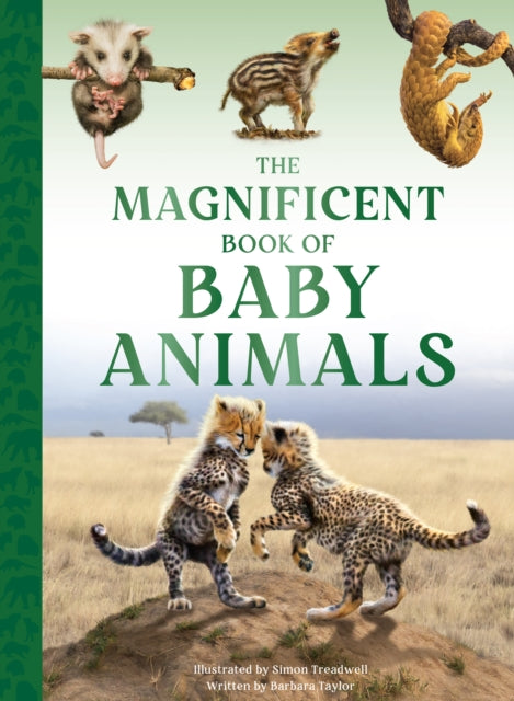 Book cover of: Magnificent Book of Baby Animals. By: Barbara Taylor