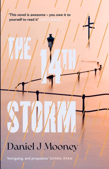 Book cover of: 14th Storm. By: Daniel J Mooney