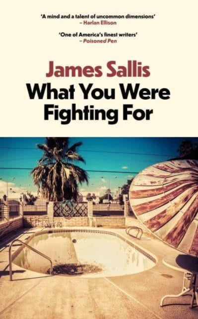 What You Were Fighting For 9781915798503 James Sallis