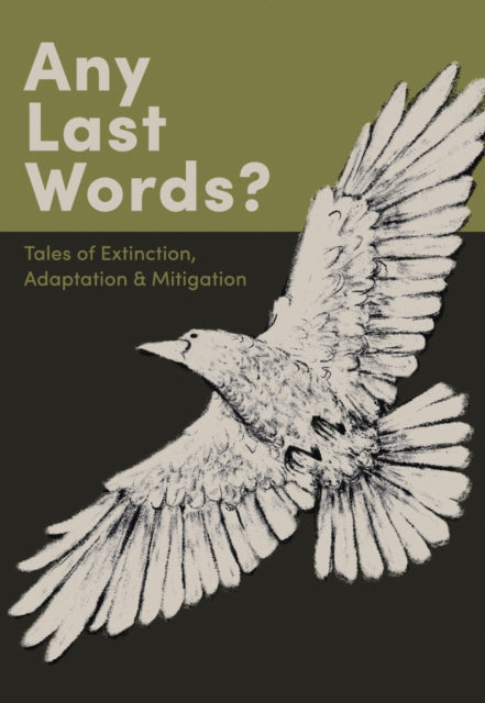 Book cover of: Any Last Words?. By: Connor Enright