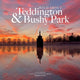 Book cover of: Wild about Teddington & Bushy Park