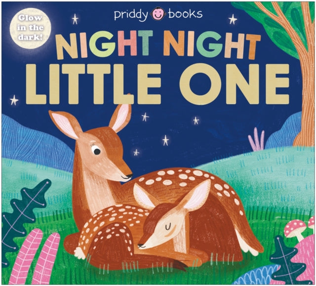 Night Night Little One (Night Night Books), Glow in the dark! 9781916745308 Roger Priddy