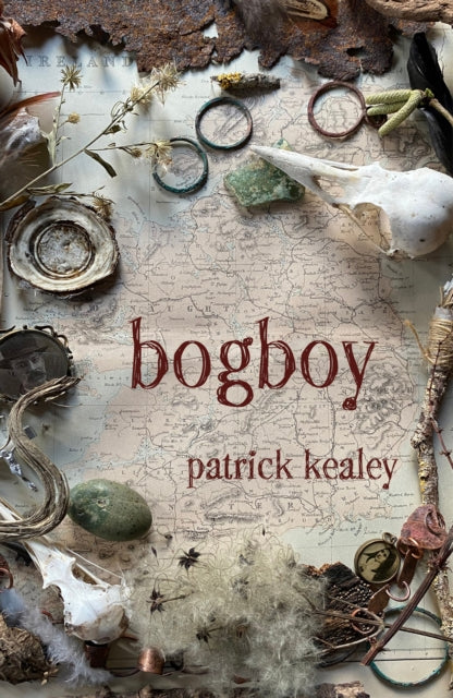 Book cover of: Bogboy