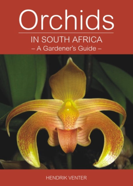 Book cover of: Orchids in South Africa. By: Hendrik Venter
