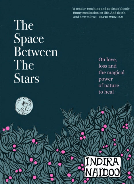 Book cover of: Space Between the Stars. By: Indira Naidoo