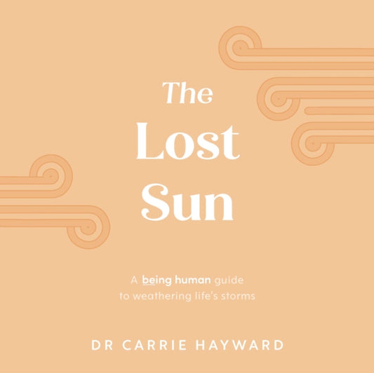 Book cover of: Lost Sun. By: Carrie Hayward