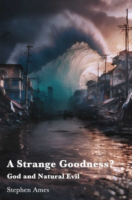 Book cover of: Strange Goodness?. By: Stephen= Ames