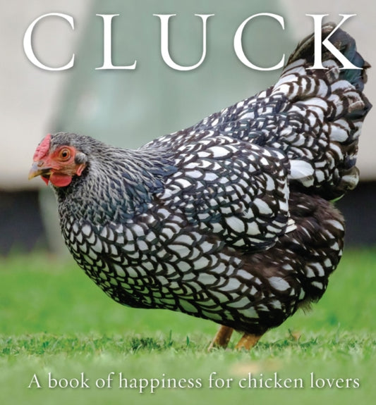 Book cover of: Cluck. By: Freya Haanen