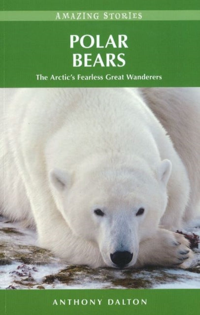 Book cover of: Polar Bears