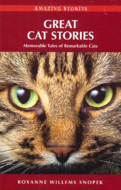 Book cover of: Great Cat Stories