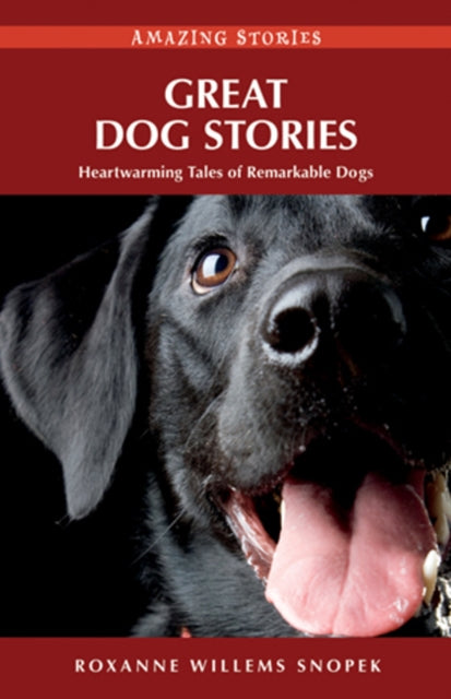 Book cover of: Great Dog Stories