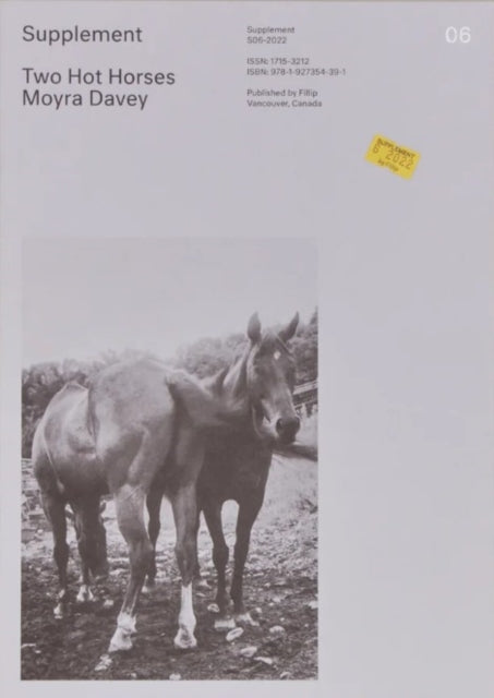 Book cover of: Supplement 6: Two Hot Horses
