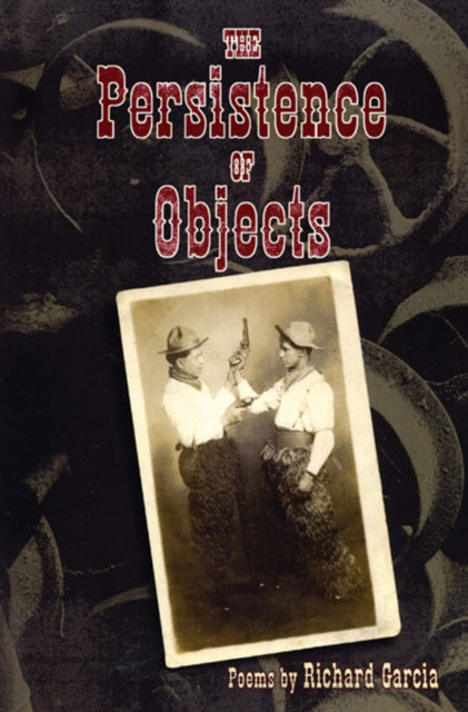 Book cover of: Persistence of Objects. By: Richard Garcia