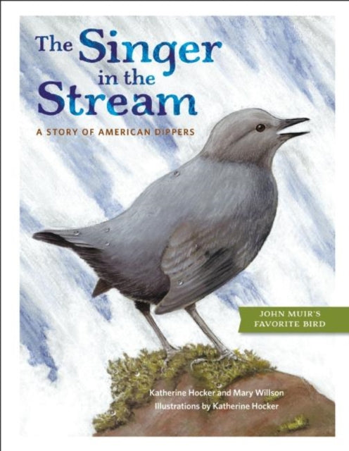 Book cover of: Singer in the Stream. By: Katherine Hocker