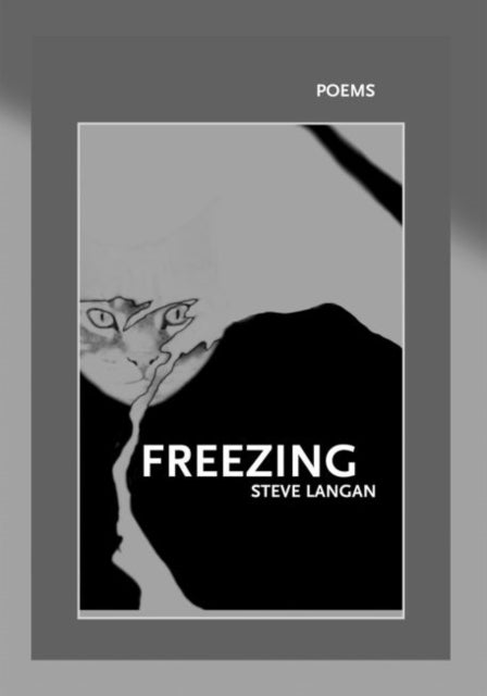 Book cover of: Freezing
