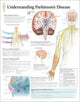 Book cover of: Understanding Parkinson's Laminated Poster. By: Scientific Publishing