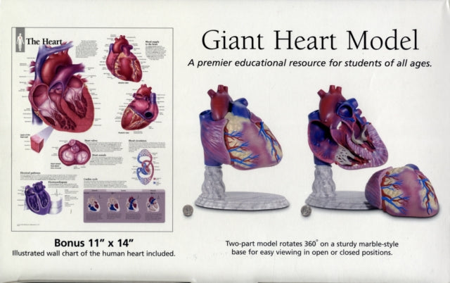 Book cover of: Healthy Heart