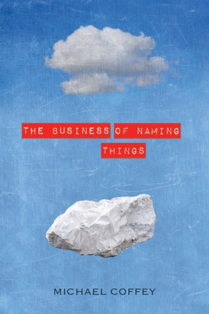 Book cover of: Business of Naming Things. By: Michael Coffey