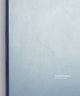Book cover of: David Simpson: Interference. By: David Simpson